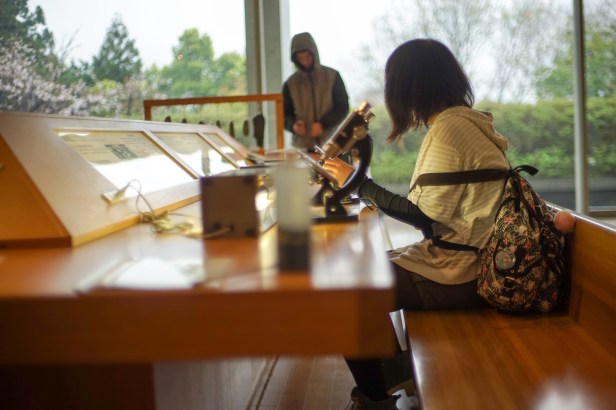 ayumi and alon natural museum