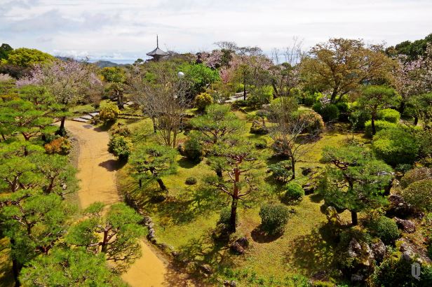 bonsai park godaisan