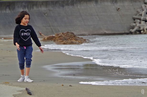 sof usa beach closeup